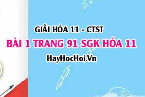 Giải bài 1 trang 91 Hoá 11 SGK Chân trời sáng tạo